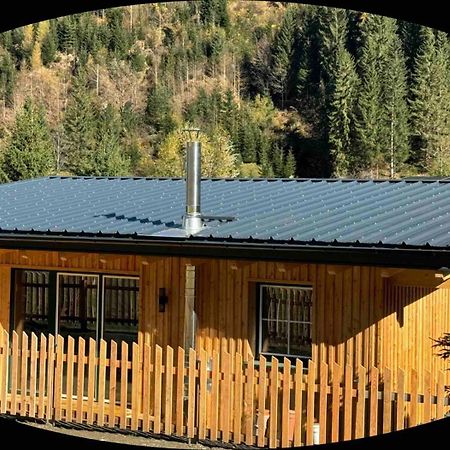 Landhaus Riesneralm Donnersbachwald Buitenkant foto