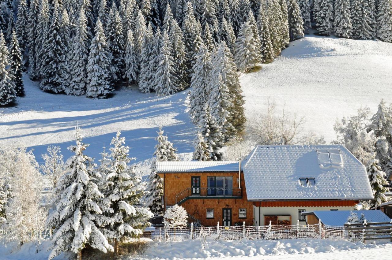 Landhaus Riesneralm Donnersbachwald Buitenkant foto
